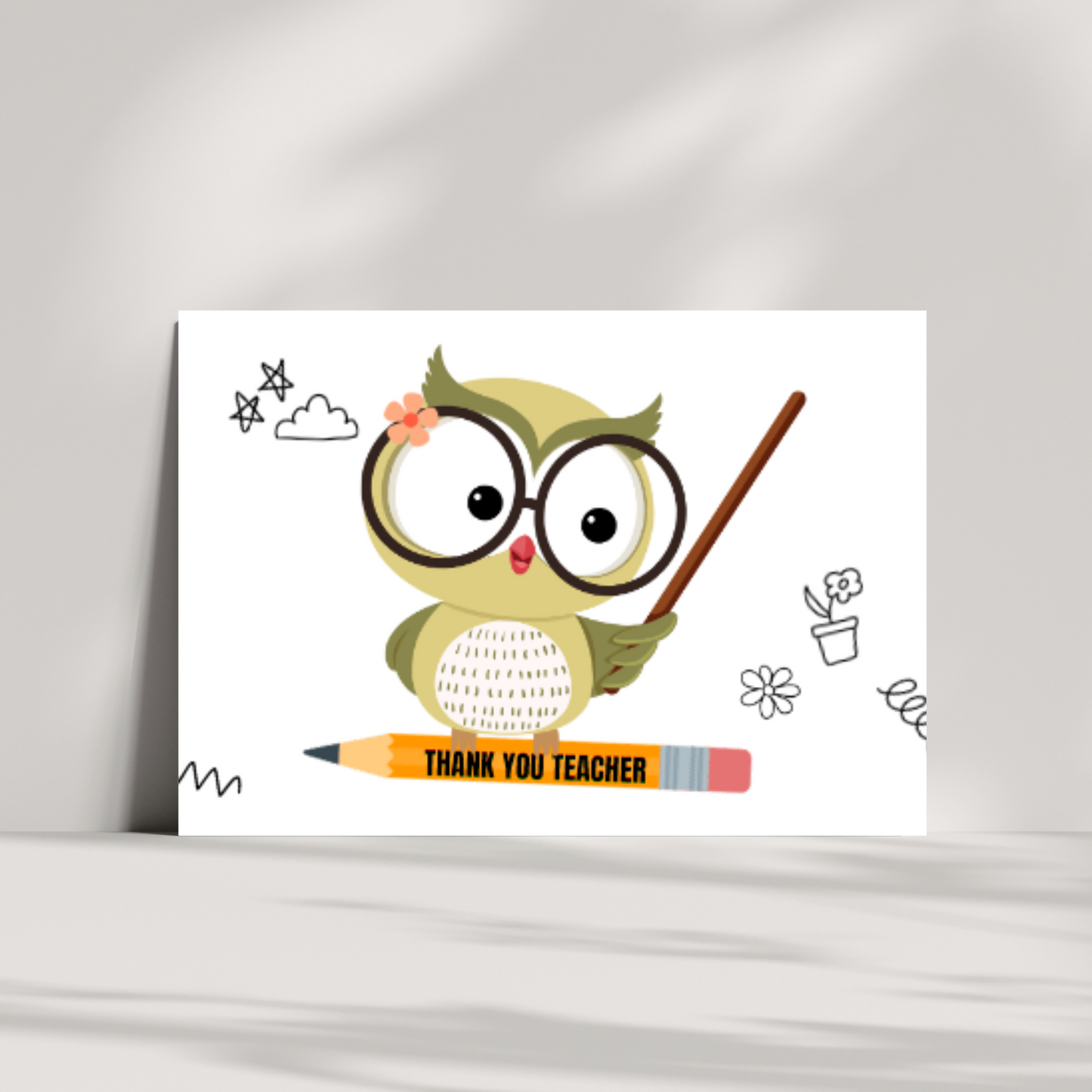 Teacher owl 2
