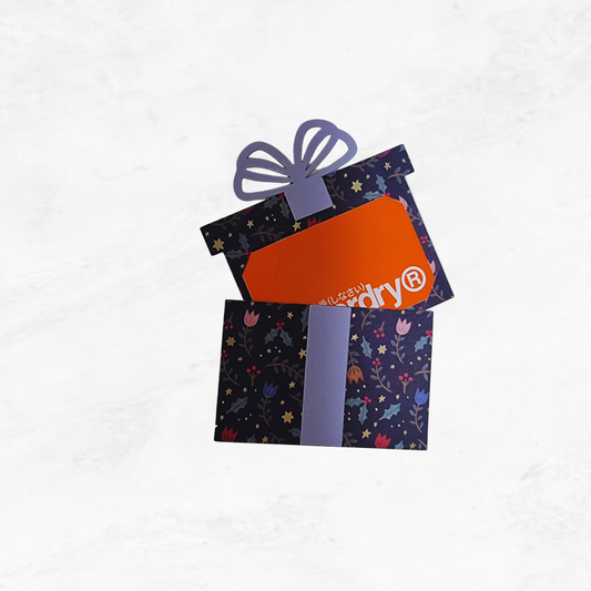 Novelty present gift card holder