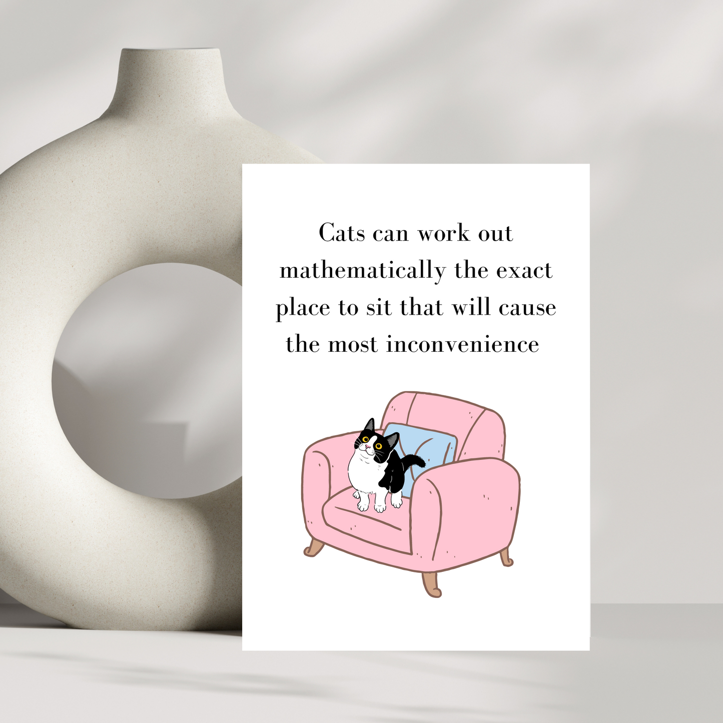 Cats can work out mathematically - sofa chair version