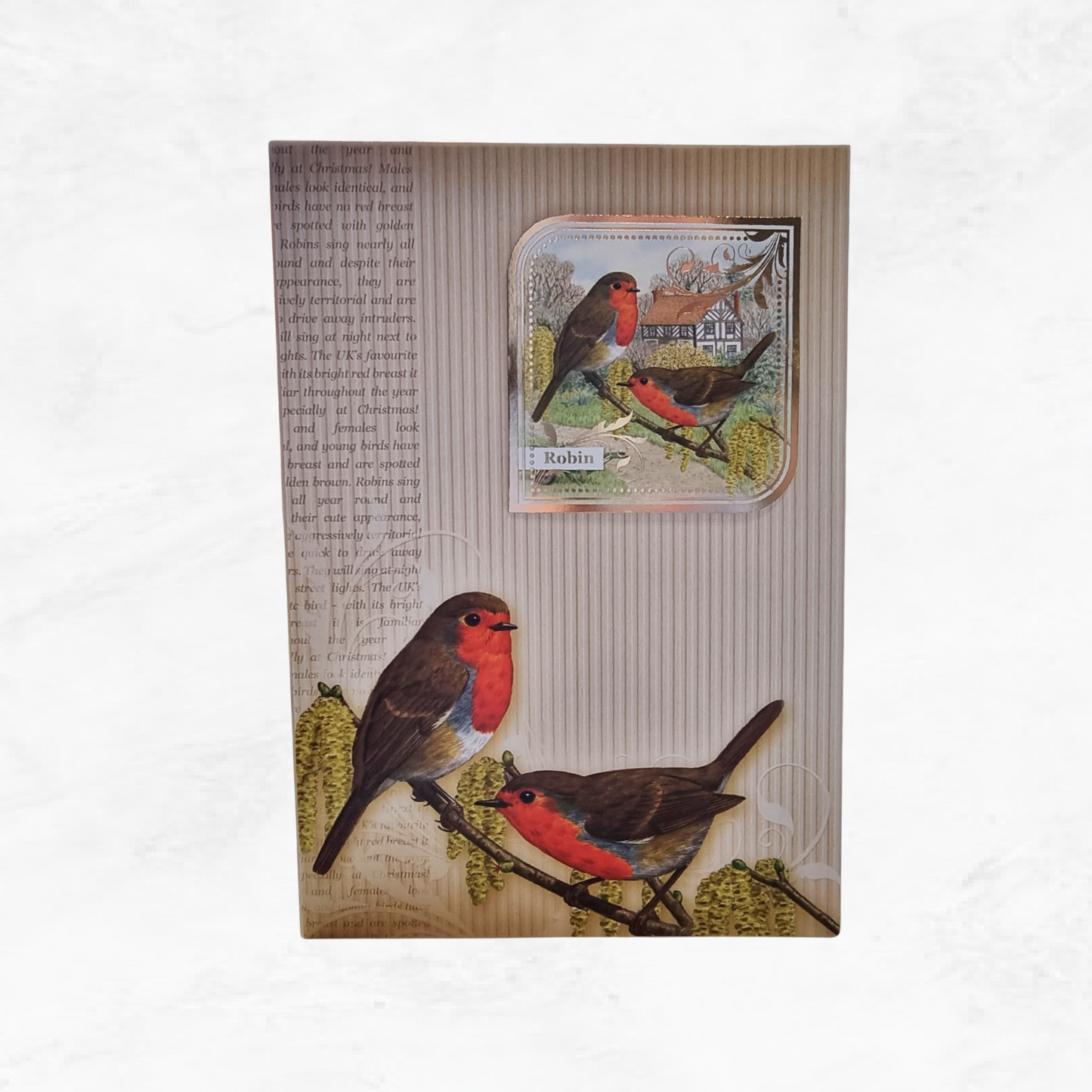 Robin Bird