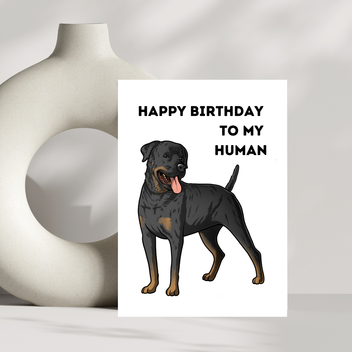 Happy birthday to my human