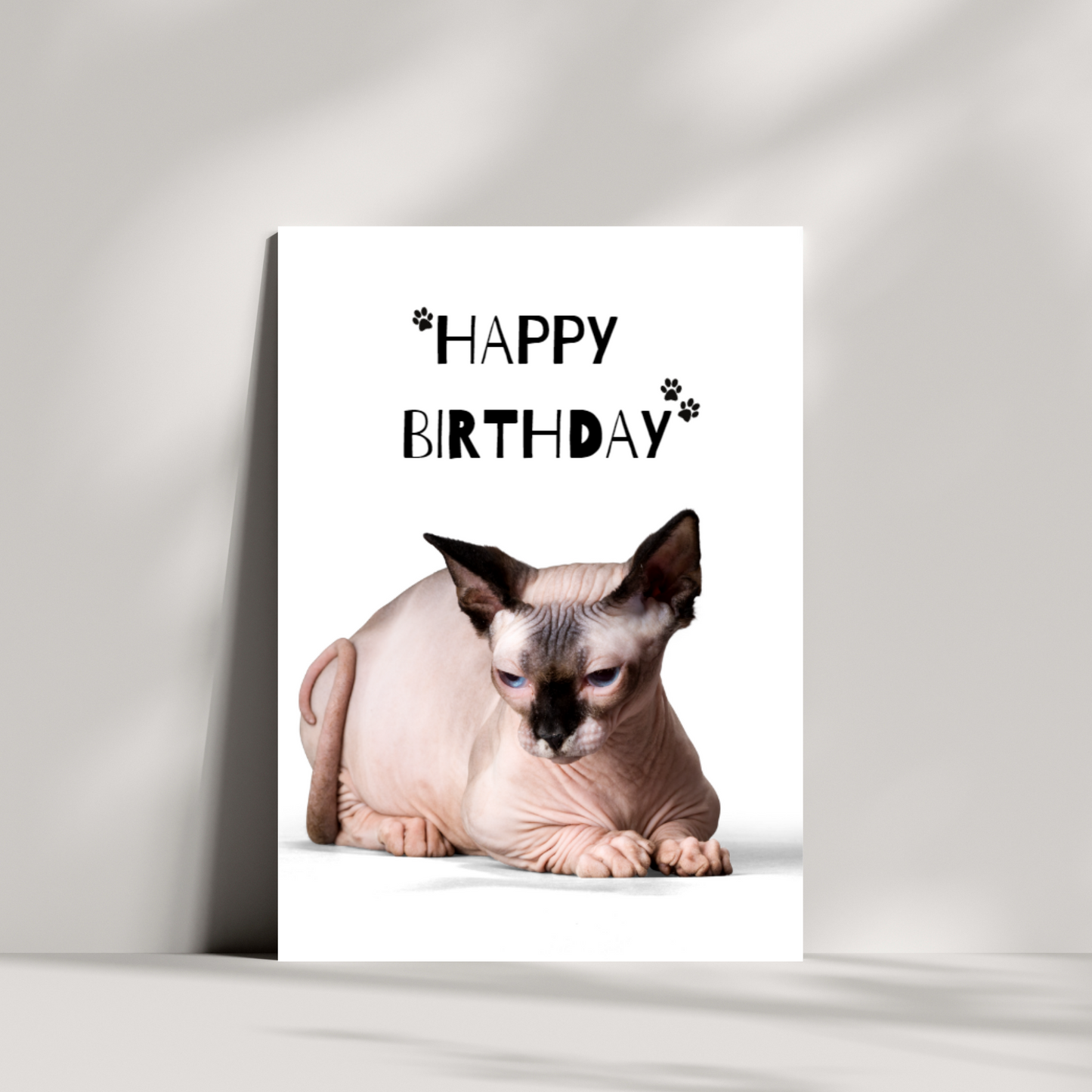 Happy Birthday - Sphynx cat