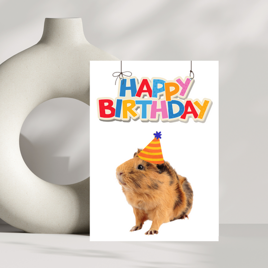 Guinea pig