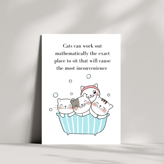 Cats can work out mathematically birthday card - Bath version