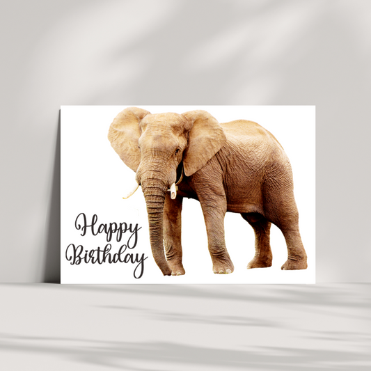 Elephant birthday card