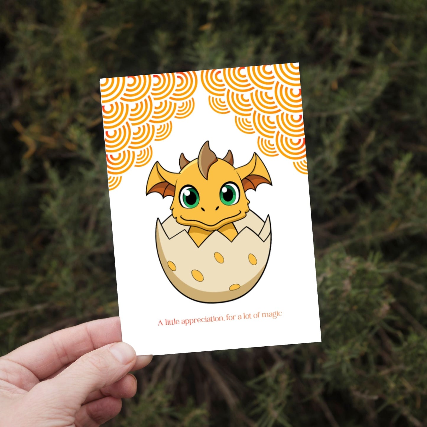 A little appreciation a lot of magic