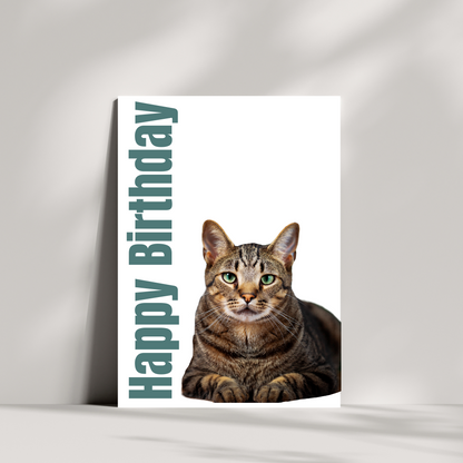 Cat birthday card