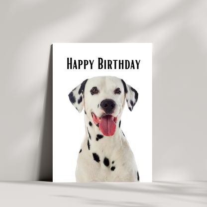 Dalmatian dog birthday card