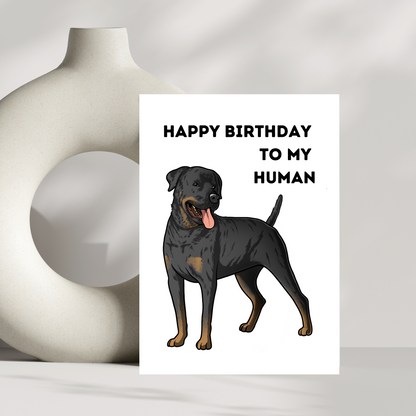 Happy birthday to my human - Rottweiler dog birthday card