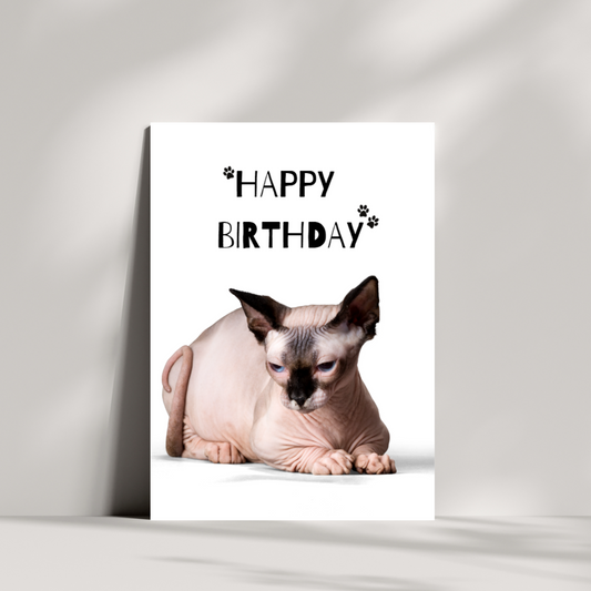 Happy Birthday sphynx cat card