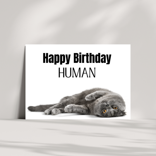 Happy Birthday Human - cat birthday card