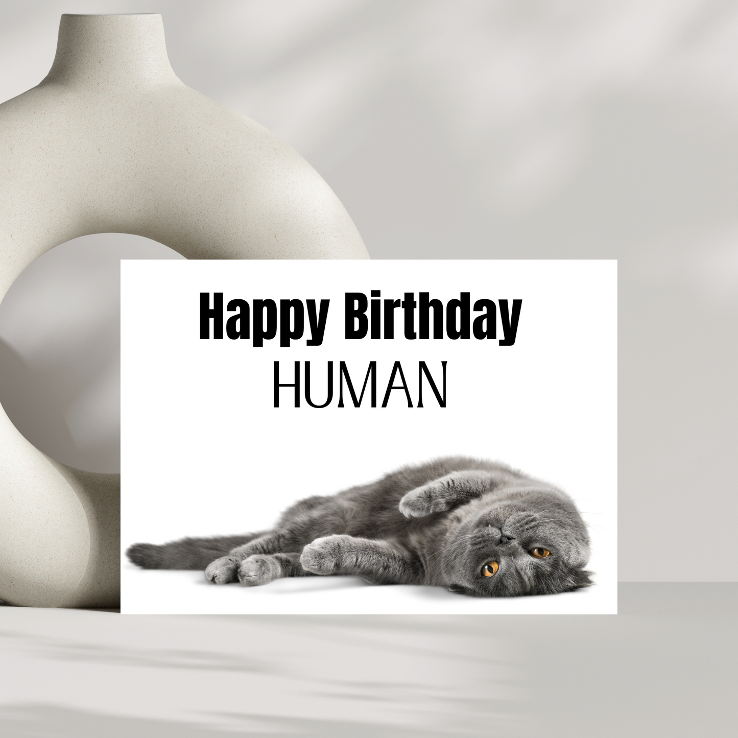 Happy Birthday Human - cat birthday card